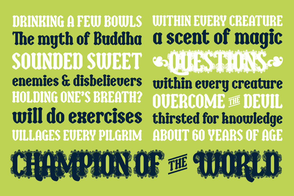 Bulbia, a Serif Font by Typogama (Photo 10 of 14)
