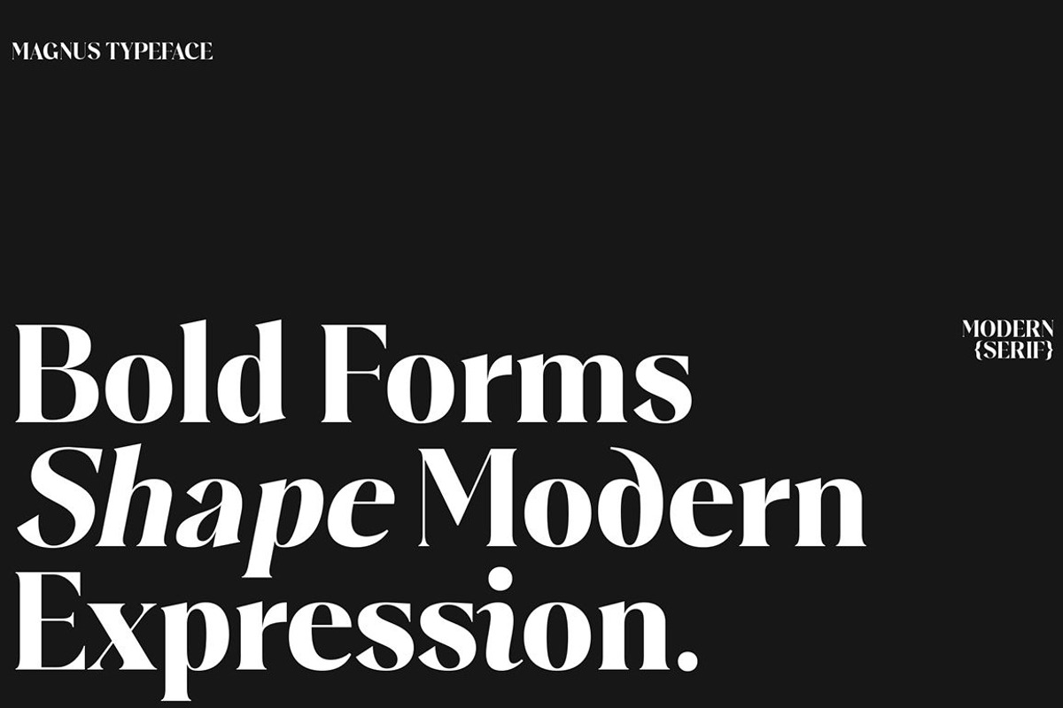 Plakent, a Serif Font by studiobasic (Photo 4 of 15)