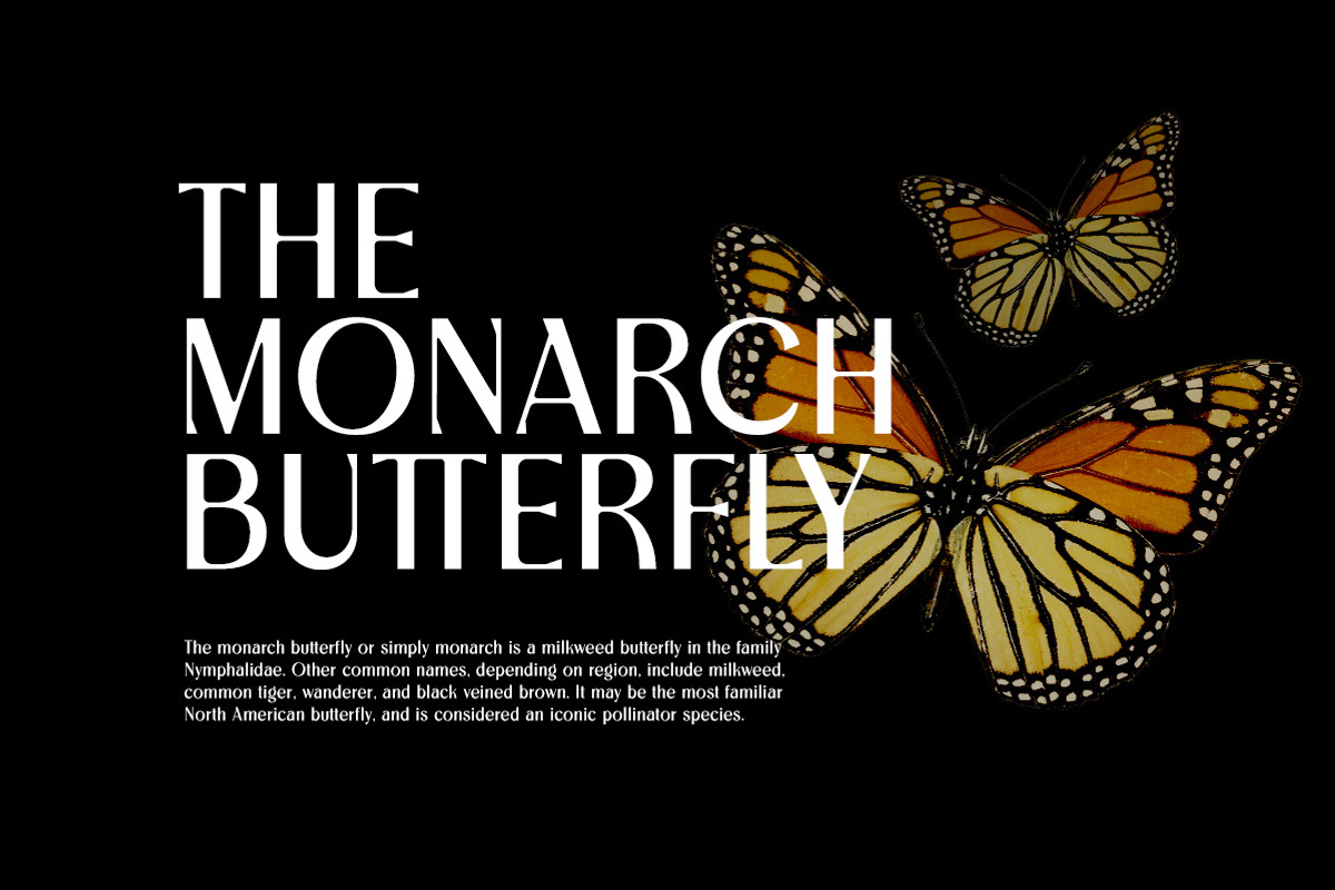 Magnitude - Stylish Sans Serif, a Font by Letterhend Studio (Photo 2 of 10)