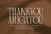 Glorious Copper Family, a Serif Font by Lettertype Studio (Thumbnail 20 of 20)