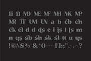 Reshiga - Serif Font, a Serif Font by limitype (Thumbnail 9 of 13)