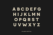 American Mortar -Vintage Font Family, a Serif Font by Creative Type (Thumbnail 5 of 10)