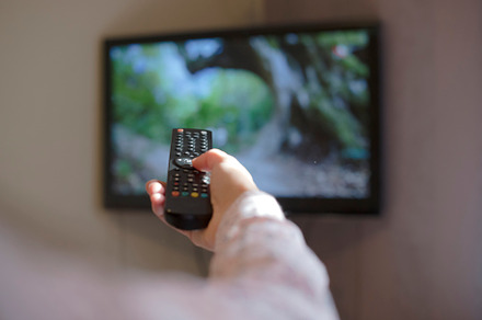 Hand hold figure of horse featuring tv, remote, and control