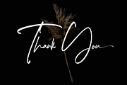 Penthagon // Script Font Duo, a Script Font by GDcreative (Thumbnail 11 of 11)