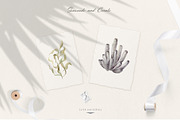 Underwater Magic. Marine Bundle., an Animal Illustration by Designwork (Thumbnail 3 of 21)