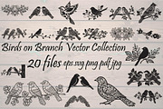 Birds on Branch Vector Collection, a Decorative Illustration by Designer_Momina (Thumbnail 1 of 21)