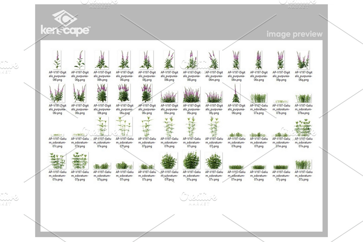 108 Assorted Plants Photo Overlays, a Nature Photo by KenScape (Photo 4 of 4)