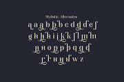 Wondernesia Nostalgic & Modern Serif, a Serif Font by Lettertype Studio (Thumbnail 15 of 15)