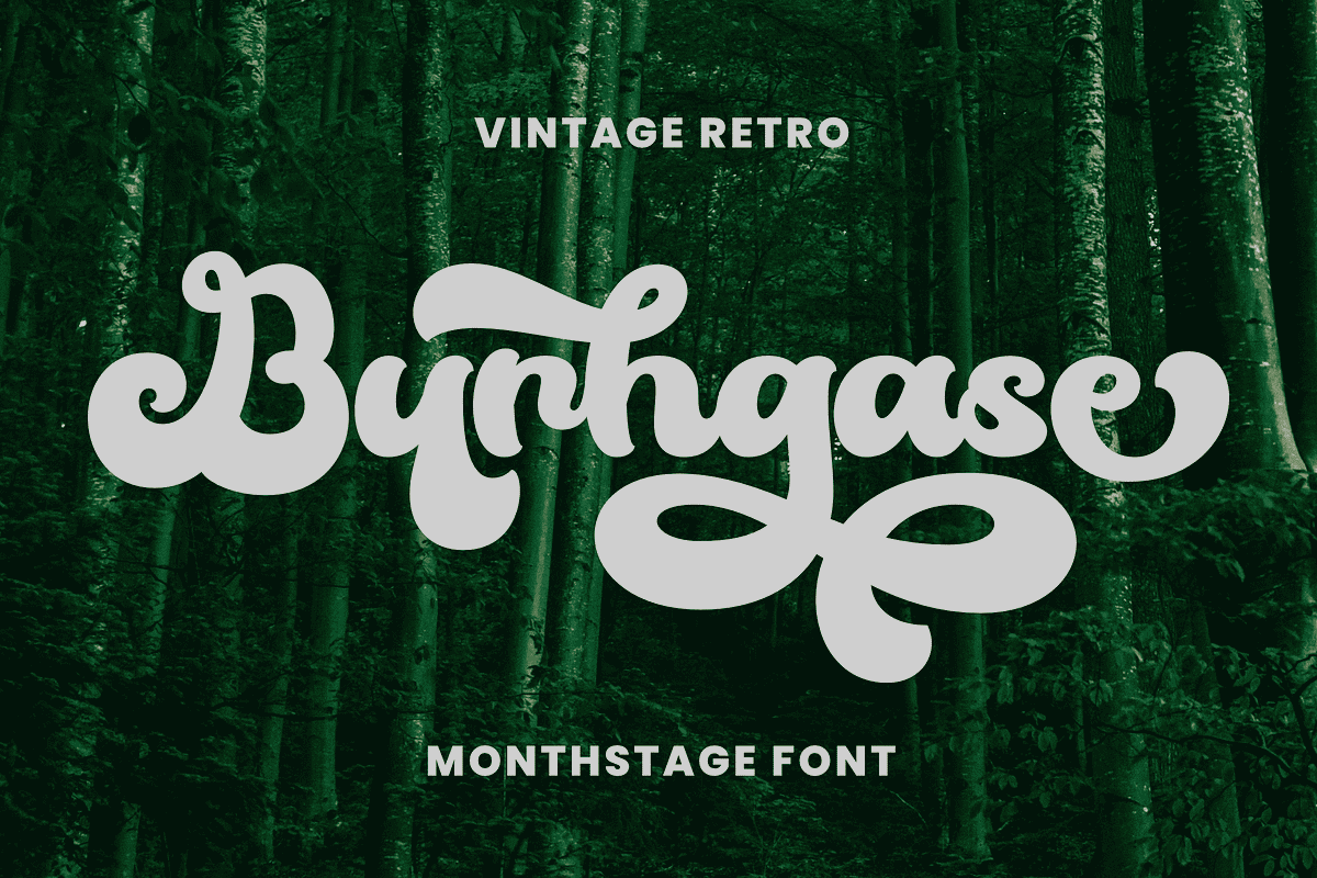 Monthstage, a Script Font by ahweproject (Photo 10 of 11)