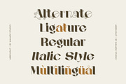 Abrelight | Modern Classic Serif, a Serif Font by Kahade Studio (Thumbnail 10 of 13)