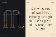 TBJ Black Gold 2-Styles Serif, a Serif Font by Taboja Studio (Thumbnail 8 of 15)