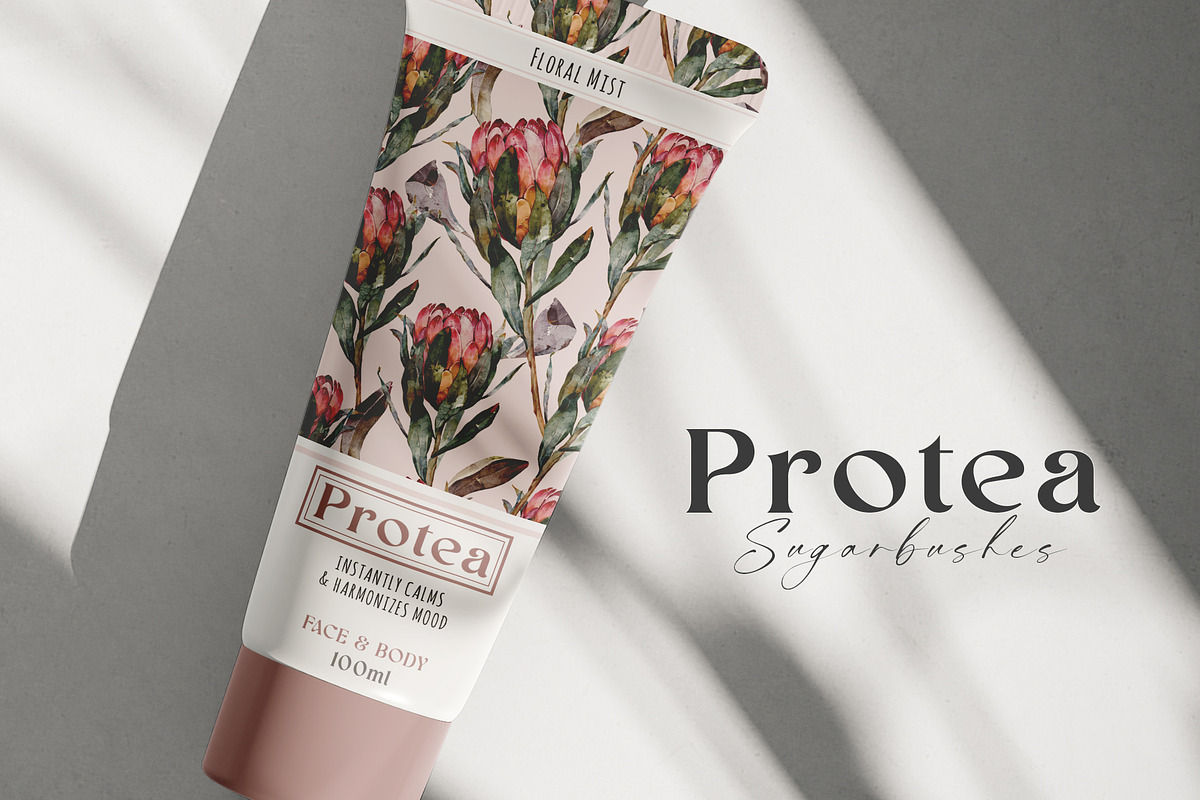 Watercolor Protea Floral Elements, a Decorative Illustration by Damian Roh (Photo 3 of 12)