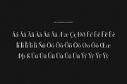 HOPELANDIC Modern Serif, a Serif Font by ALunadoki Design (Thumbnail 5 of 8)