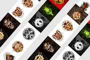 Animal mascot set bundle, an Animal Illustration by foxndeer (Thumbnail 2 of 4)
