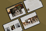 Sonny Showit Website Template, a Templates & Theme by Amanda Scott Design Co. (Thumbnail 6 of 7)
