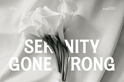 Magnes - A Display Serif Font, a Sans Serif Font by Almeera Std (Thumbnail 3 of 10)