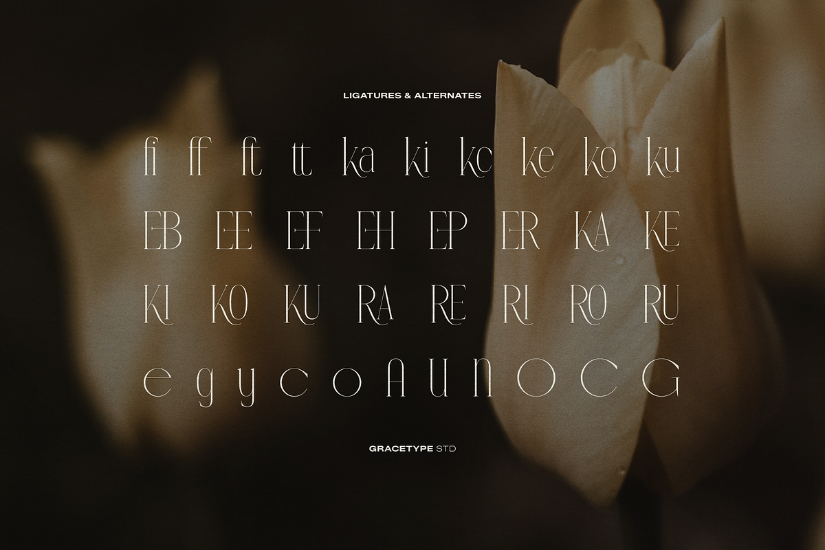 Anora Carmeo | Display Elegant Serif, a Font by gracetype_studio (Photo 11 of 12)