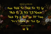 Levagrante - Display Serif Font, a Serif Font by RockboyStd (Thumbnail 11 of 12)