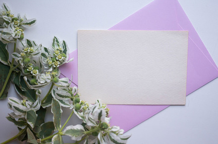 card with sedum., an Arts & Entertainment Photo by Arymer