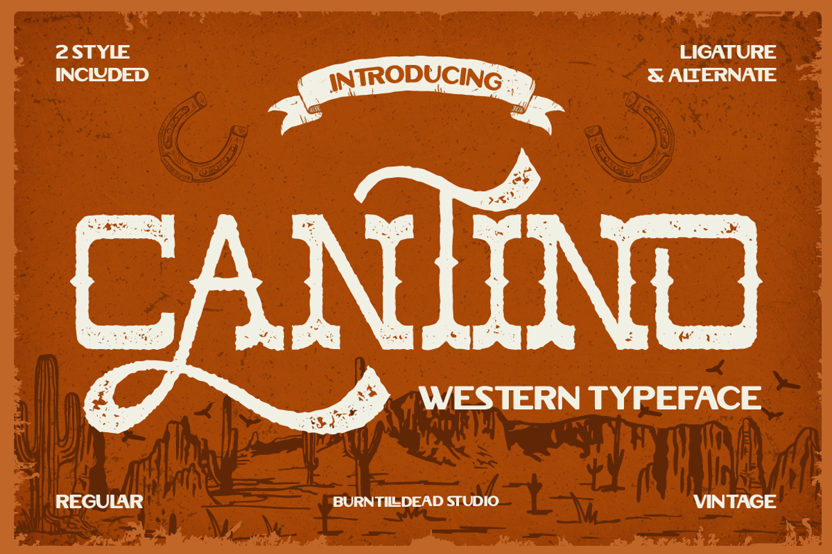 Cantino, a Slab Serif Font by Burntilldead (Photo 1 of 12)