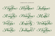 Dapilon Script, a Script Font by Has_rizal (Thumbnail 5 of 11)