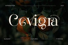 Cevigra Elegant Serif Font