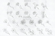 Procreate Birth Flowers Tattoo, a Brushes & More by DiBrush Studio (Thumbnail 5 of 5)