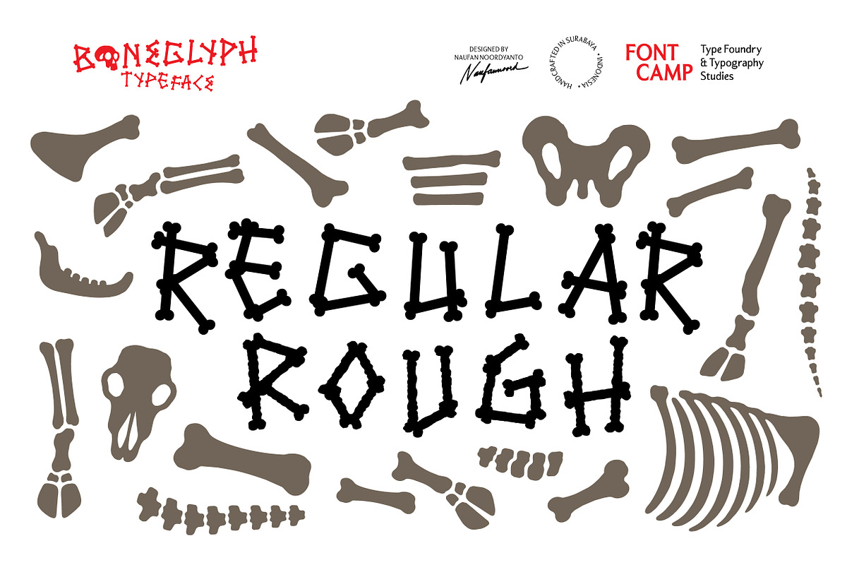 Boneglyph Font, a Symbol Font by Fontcamp Type Foundry (Photo 3 of 10)