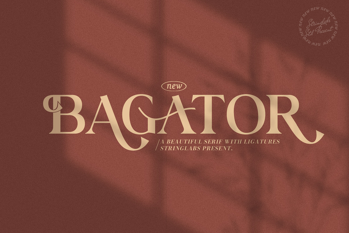 Bagator - Classic Serif Font, a Serif Font by StringLabs (Photo 1 of 12)