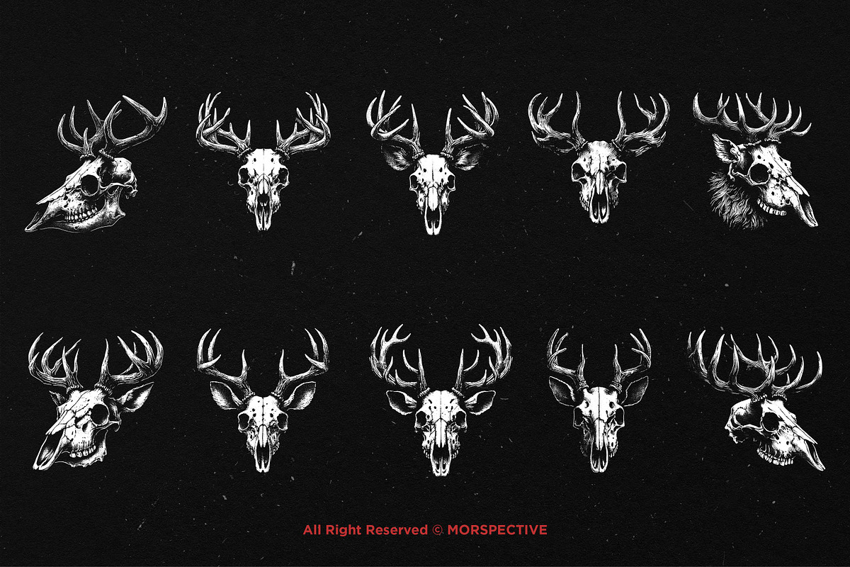 10 Bundle Dark Art Skull Deer Head, an Illustration by Morspective (Photo 6 of 7)