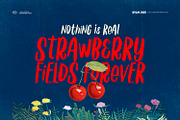 Blossom Diary-Chic Handwritten Font, a Handwritten Font by ikiiko (Thumbnail 4 of 7)