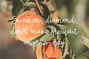 Hand Lettered Script Font Bundle, a Script Font by Blush Font Co. (Thumbnail 3 of 17)