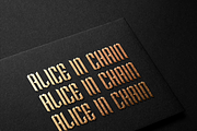 IMPERMANENCE, a Blackletter Font by Essentials Studio (Thumbnail 4 of 9)