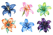 Lily Doodles Colorful PNG, an Illustration by SinaCreation (Thumbnail 5 of 5)