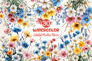 Colorful Meadow Flower Clipart Png, an Illustration by Dream Creation