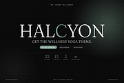 Halcyon Shopify Theme, a Shopify Template by Ibnul Jaif Farabi (Thumbnail 8 of 8)