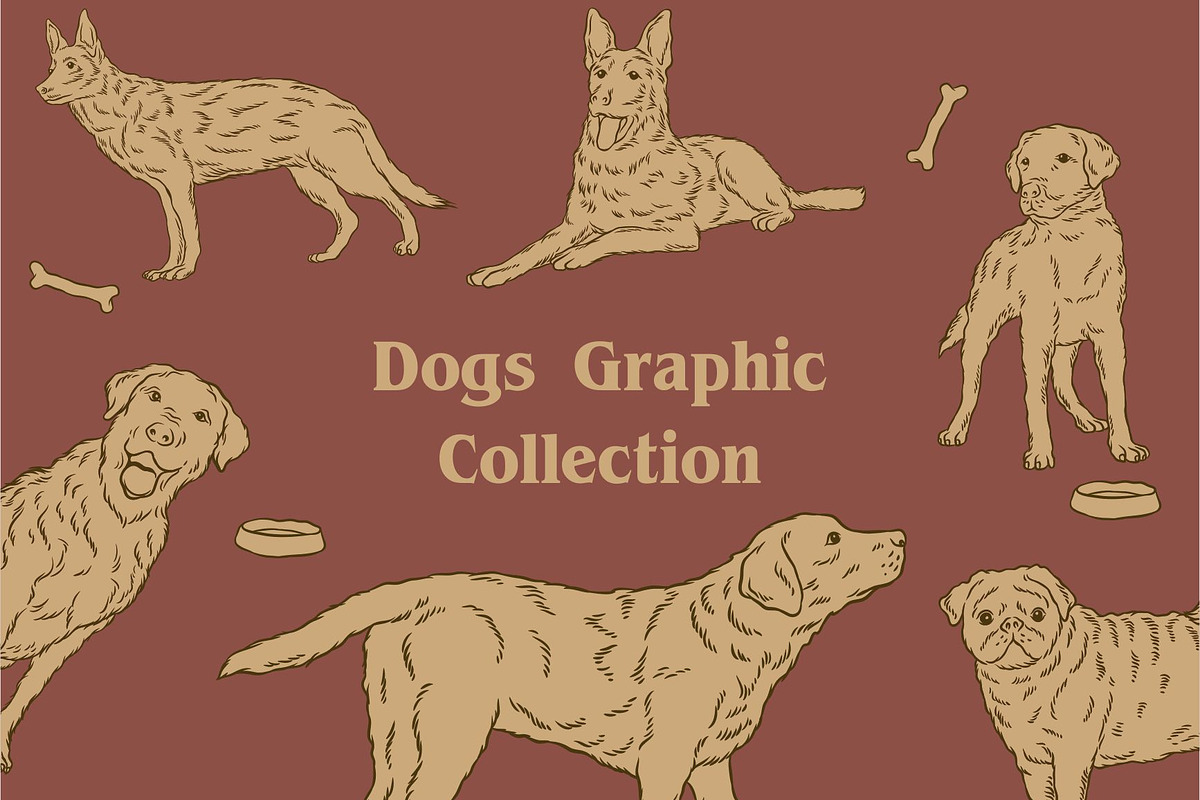 Dogs Graphic Collection, an Illustration by Ben studio (Photo 1 of 3)