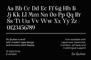 DS Quilter - Variable Luxury Serif, a Serif Font by dealitastudio (Thumbnail 15 of 15)
