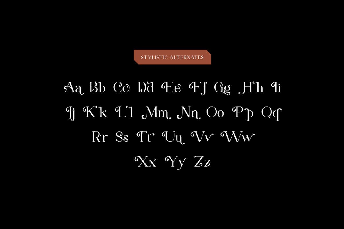 Alchemin - Advertisement Font, a Serif Font by RockboyStd (Photo 11 of 12)