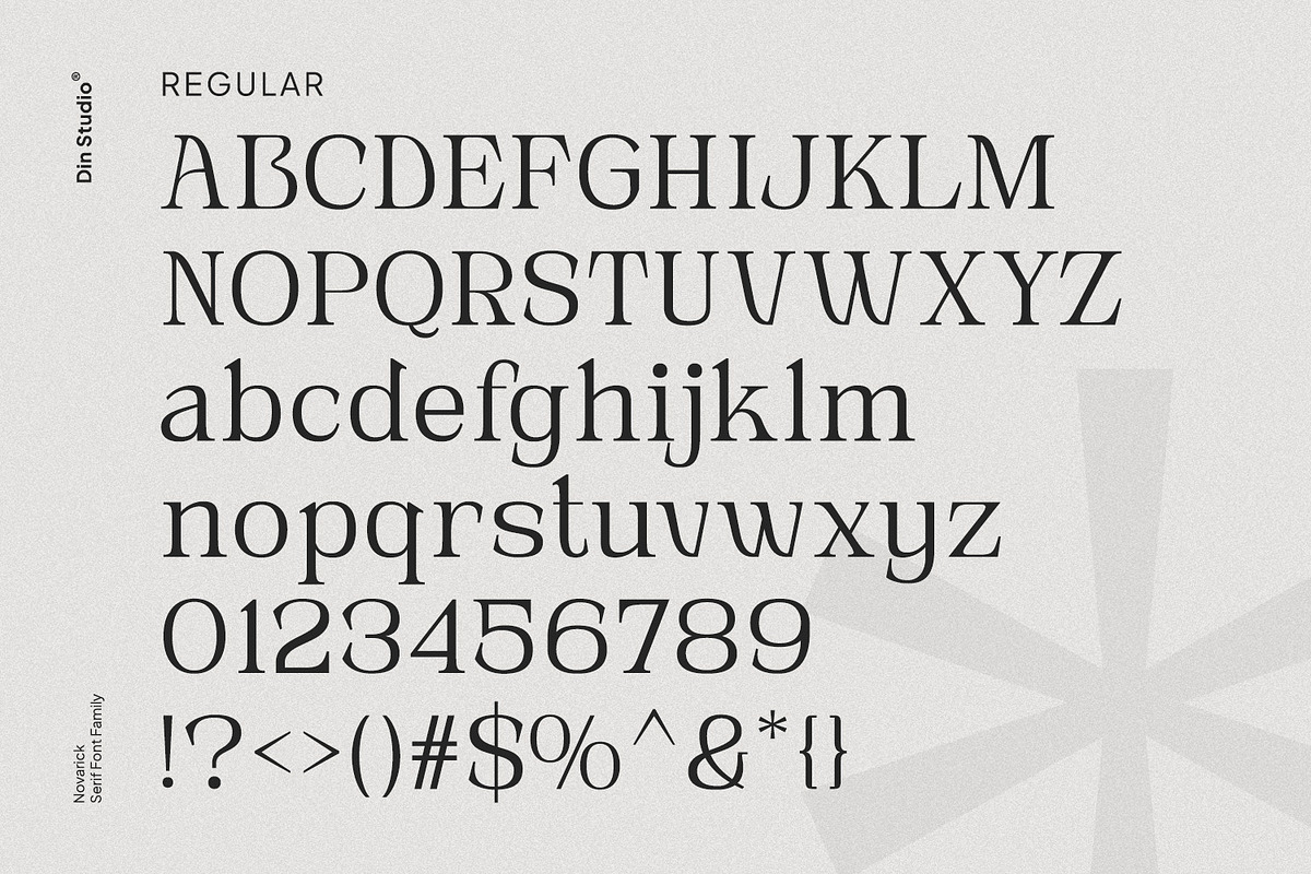 Novarick, a Serif Font by din-studio.com (Photo 10 of 16)