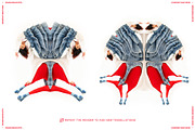 Unwrap Machine - Distort Warp Action, an Action Add-On by bangingjoints (Thumbnail 4 of 8)