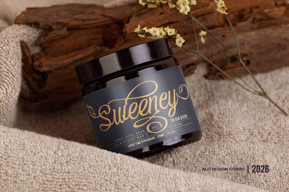 Eleven Hockey Typeface, a Script Font by alit design (Photo 9 of 20)
