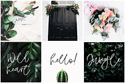 Wisteria Script, a Script Font by Calamar Studio (Thumbnail 4 of 13)