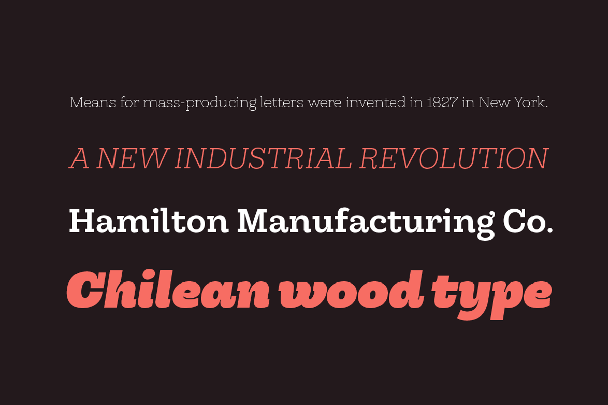 Hernández Niu, a Slab Serif Font by Latinotype (Photo 2 of 17)