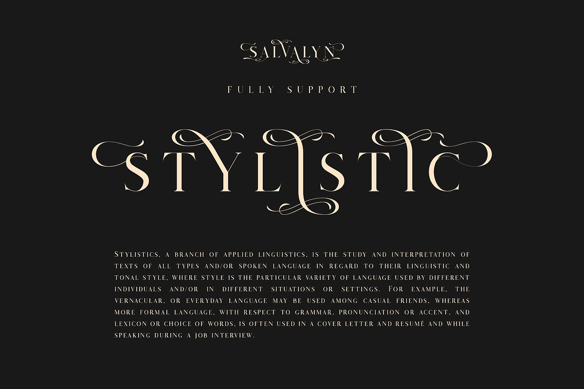 Salvalyn - Stylistic Serif Font preview 3
