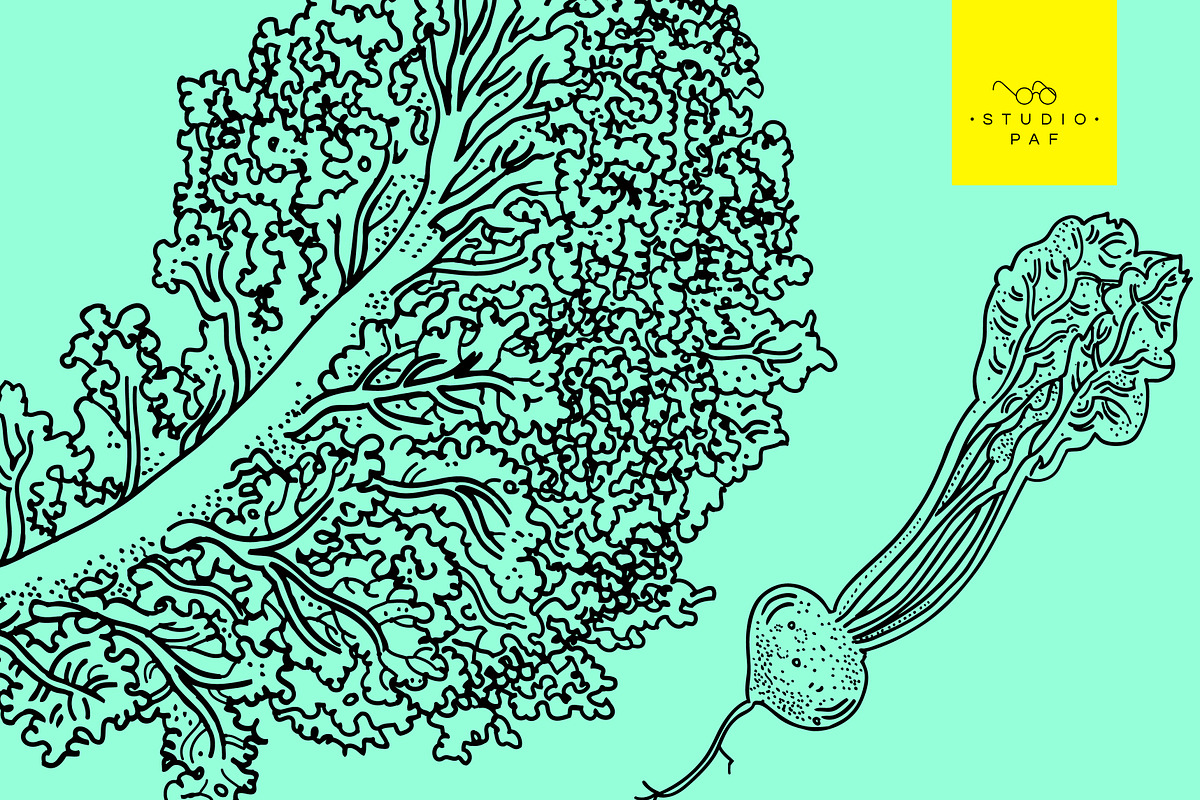 Fruit & Veg - Hand Drawn Vectors, a Food Illustration by STUDIO PAF (Photo 7 of 8)