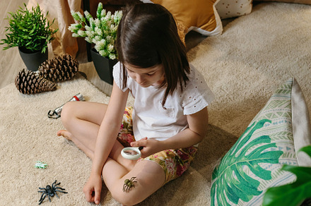 Girl playing observing toy bugs with a magnifying glass, a Person Photo by davidpereiras