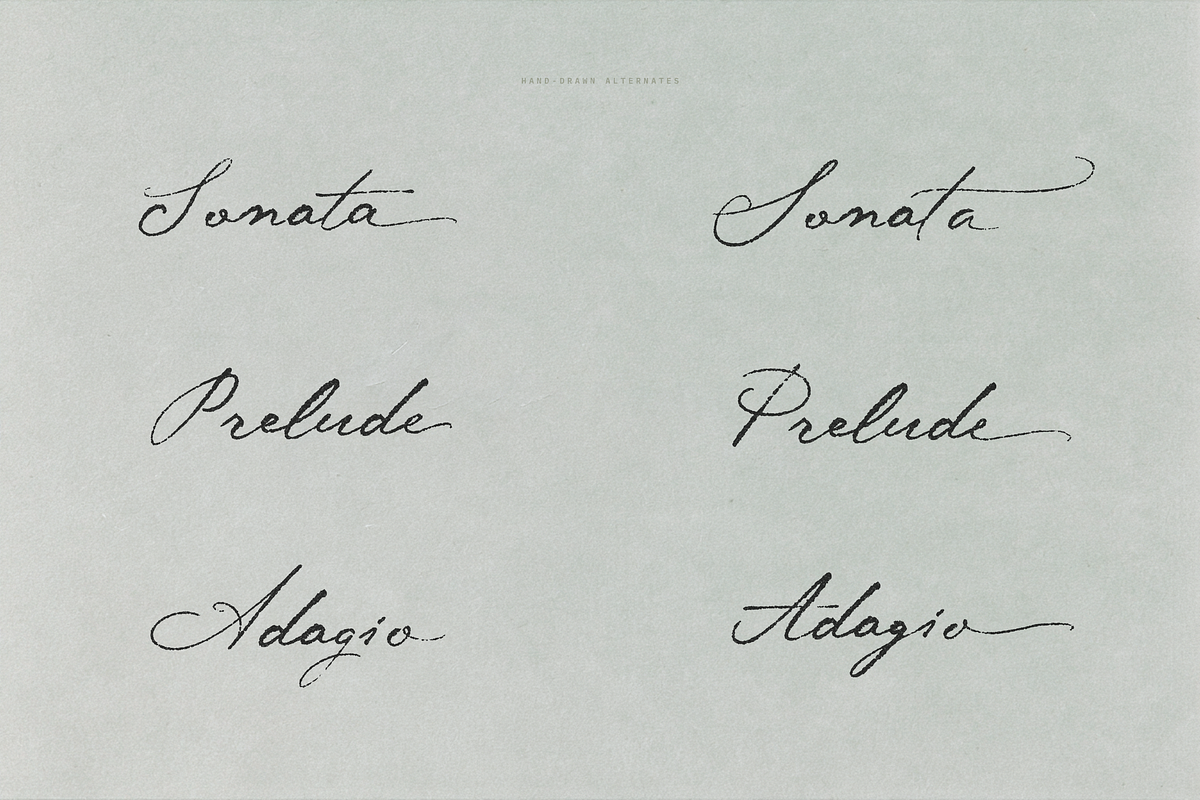 Midnight Symphony // Script font, a Handwritten Font by PeachCreme (Photo 12 of 15)