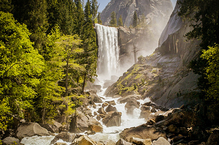 Grand Teton Buffalo preview 6
