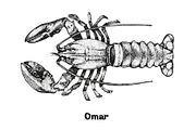 Seafood collection_part 1, a Food Illustration by ZotovShop (Thumbnail 6 of 11)